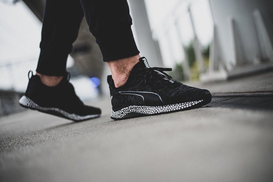 Puma hybrid top runner 2019