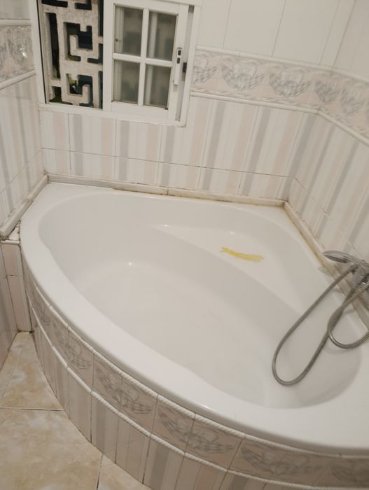 Limpeza profissional