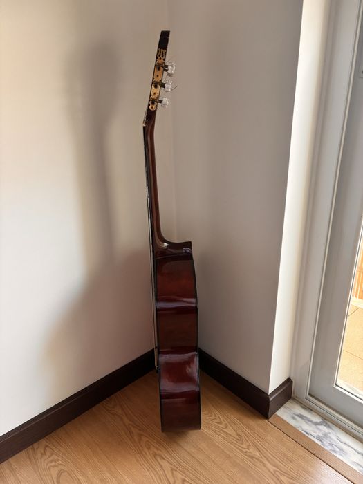 XP Guitars AG604P