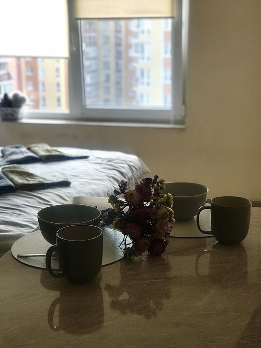 Подобово посуточно, квартира-студія. Центр. Недалеко озеро. Власник.