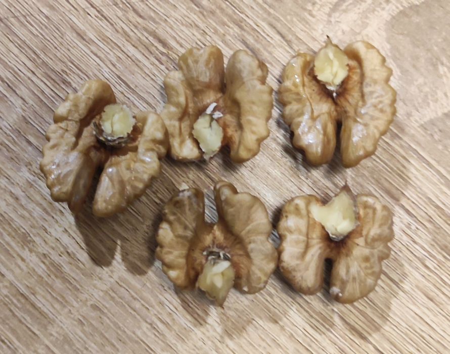 Горіх грецький домашній , сухий, відбірний