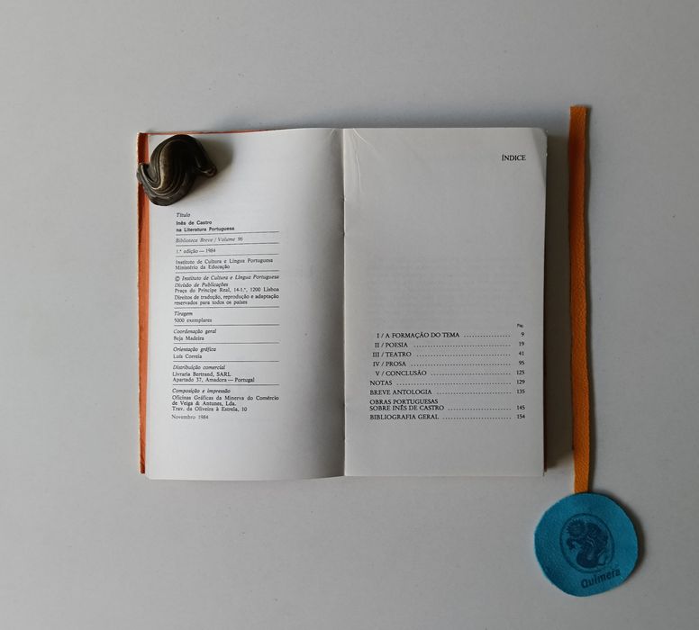 Inês de Castro na literatura Portuguesa