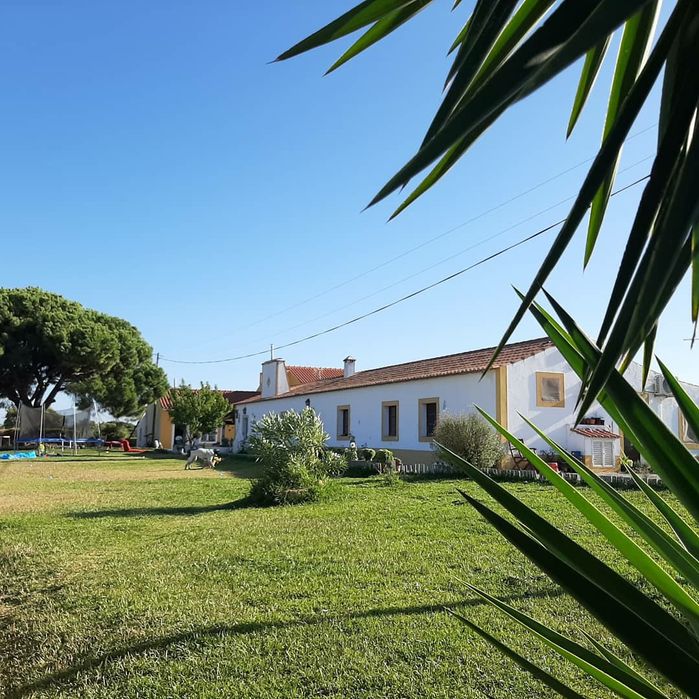 Aluga-se casa no campo