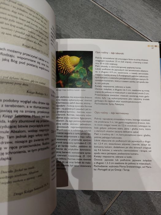 Podróż po biblijnych ogrodach