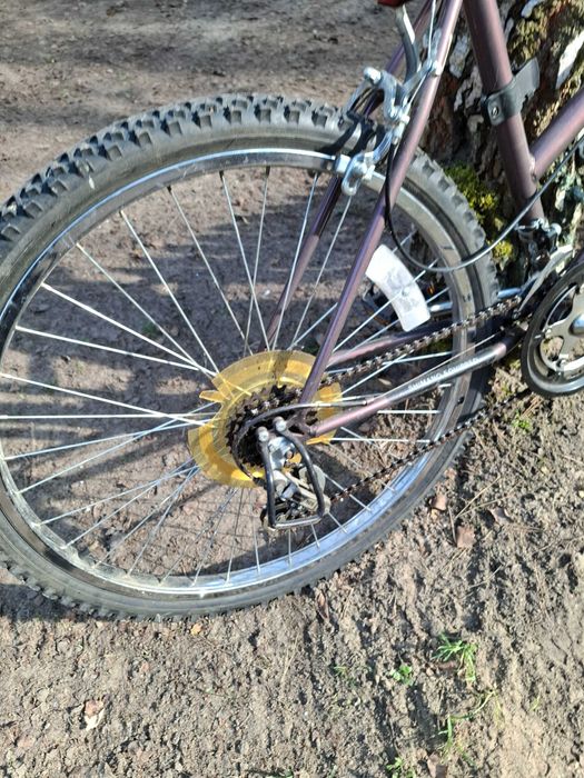 Rower Magna Zanzibar miejski