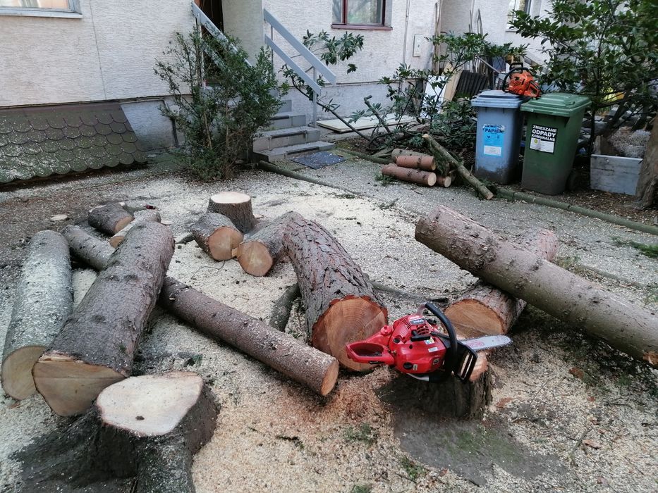 Wycinka drzew I krzewow  Oczysz dzialek zrebkowanie minkopark ogrodnik