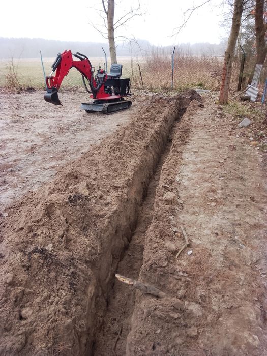 Ogródek ogród warzywa