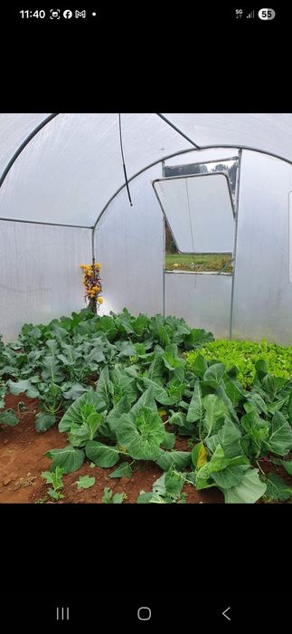 Estufas agricolas somos fabricantes