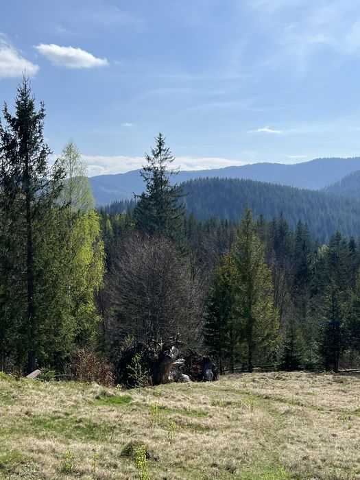 Ділянка в горах, земля біля Буковеля, земля в КарпатахПідведене світло