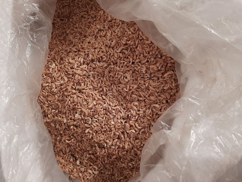 Гаммарус сухой 1 кг 2025 ( корм для рьібок , черепах, птиц,улиток ахат