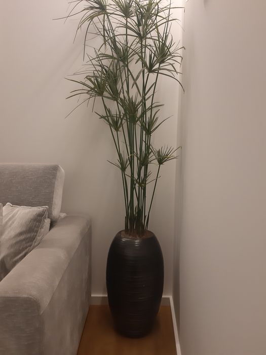 Planta artificial papiros