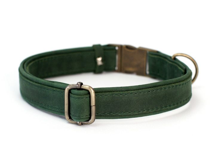 Grawerowana Obroża Dla Psa Skórzana Z Metalową Klamrą, Zielony Kolor