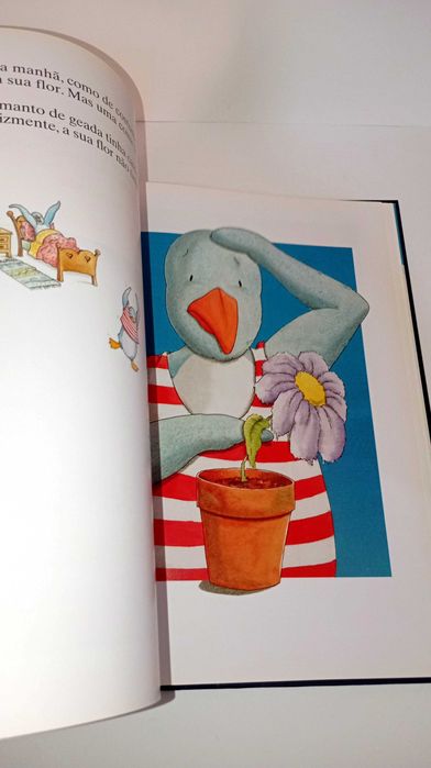 Sebastião- Rosy Gadda Conti
