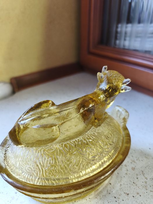 Krowa maselnica HSG Ząbkowice