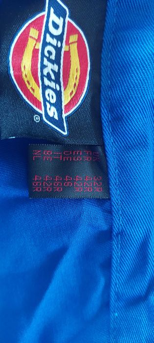 Spodnie robocze Dickies DE46