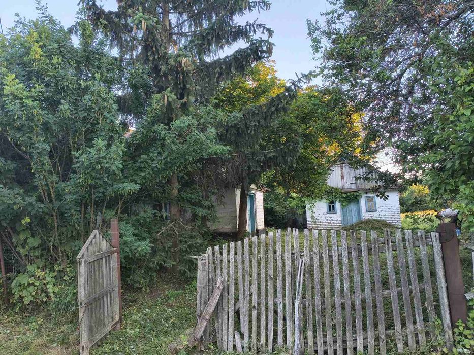 Будинок  в с.Сухорабівка, Полтавського району, Полтавської області - View 2