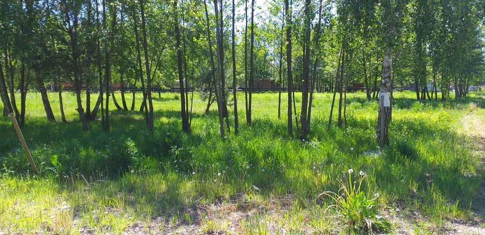 Działka w śród zieleni