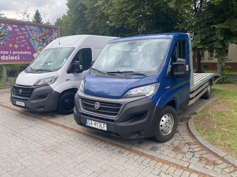 Usługi transportowe , transport