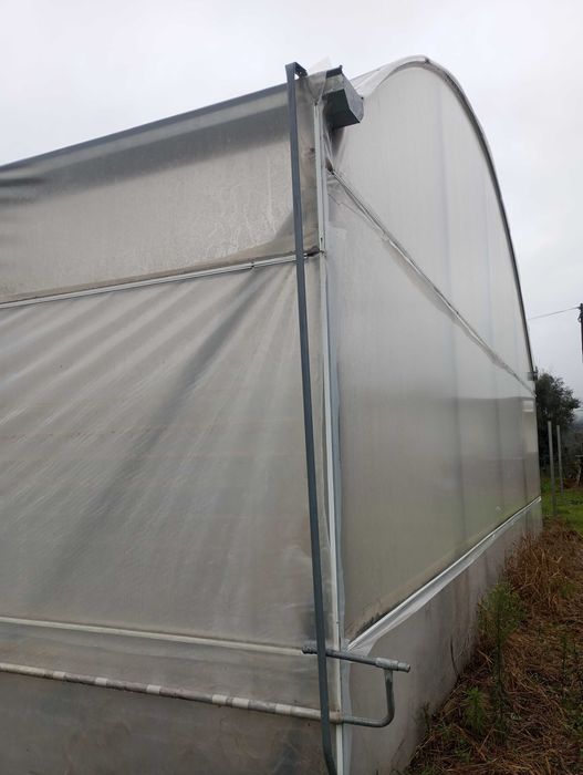 Estufa agrícola com 2100m2
