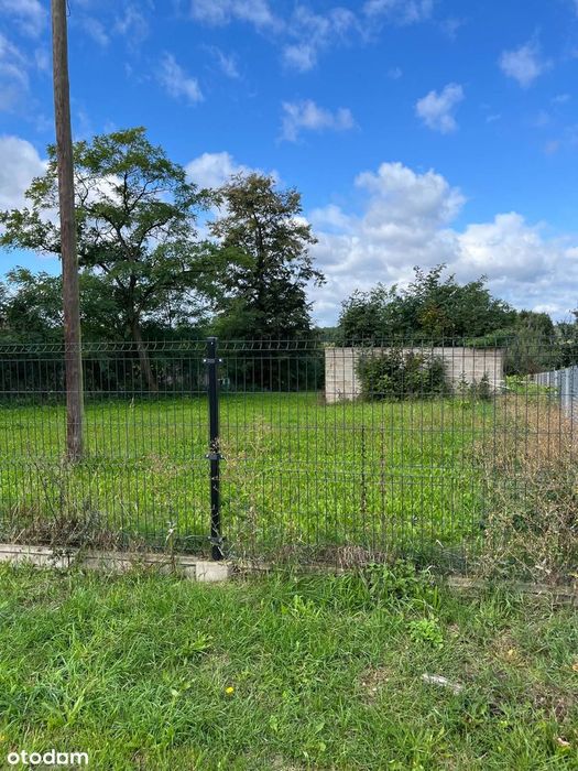 Działka rolno-budowlana 3000 m² z WZ – Janówek, gm. Wierzbno - Widok 3