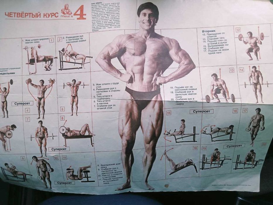 Дж. Вейдер Система строительства тела