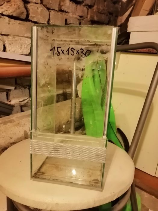 Terrarium dla pająka