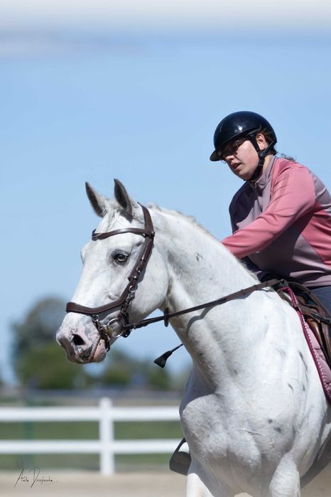 Sprzedam wałacha dla dziecka lub amatora