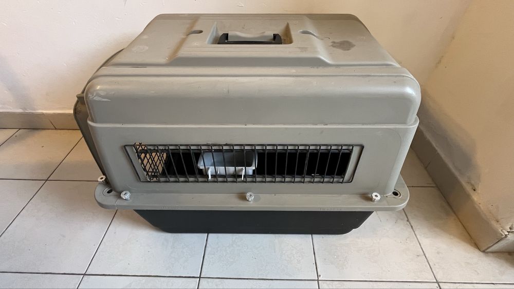 Caixa grande para transporte de animais Petmate, em bom estado
