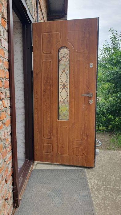 Двері вхідні (склопакет, ковка)