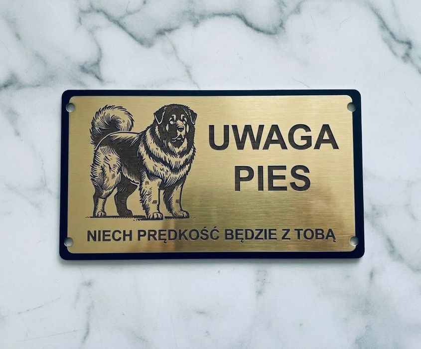 Tabliczka grawerowana uwaga pies adres numer domu