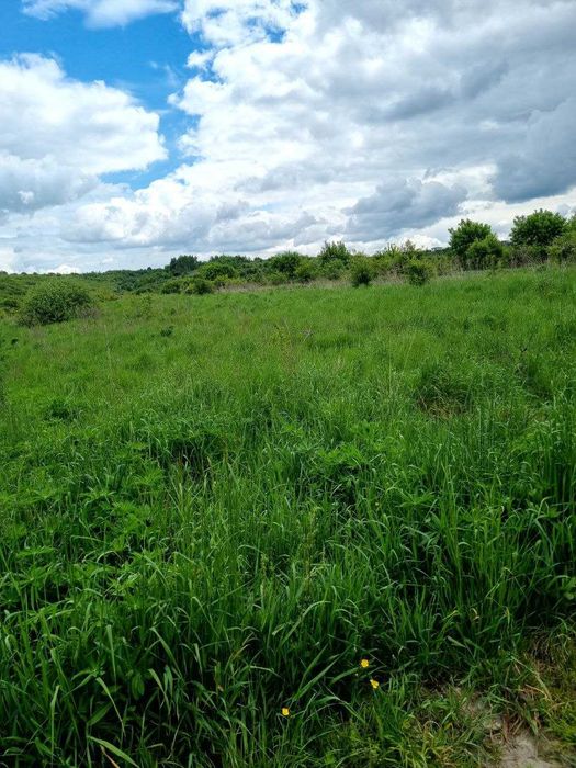 Продаж ділянки с.МАЛЕЧКОВИЧІ з двох сторін заїзд 60 до 1 га