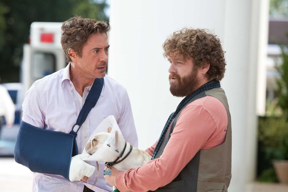 A TEMPO E HORAS (Robert Downey Jr./Zach Galifianakis