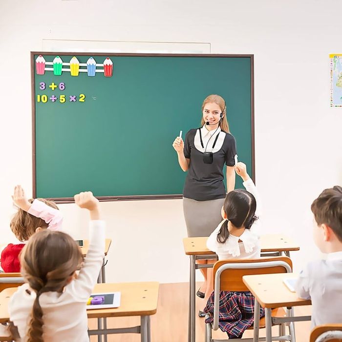 Портативний акумуляторний міні-підсилювач голосу ZOWEETEK ZW-Z258