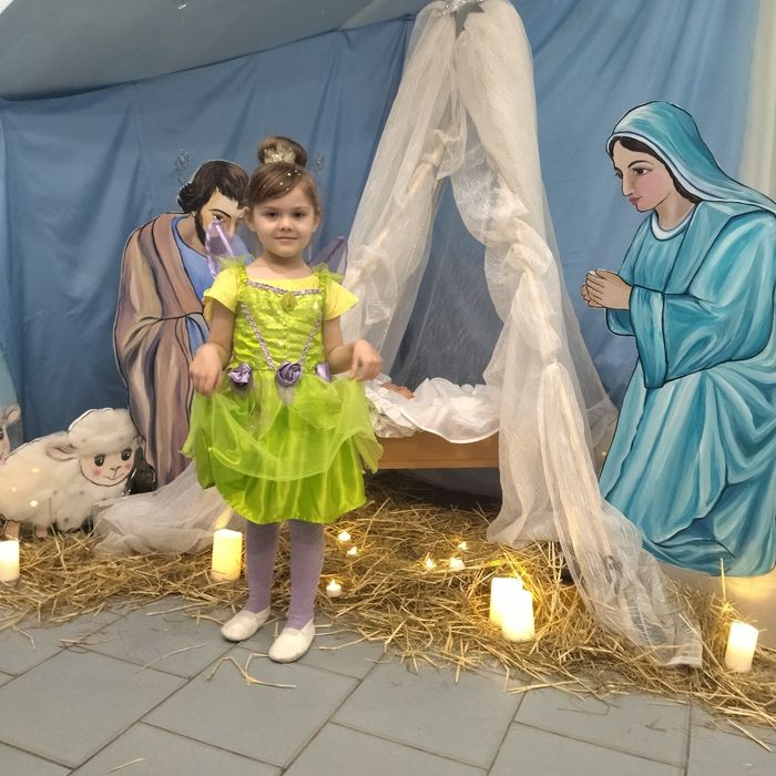 Спідниця ромашки  і плаття сніжинки