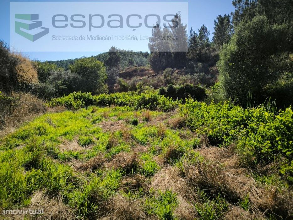 Terreno Agrícola