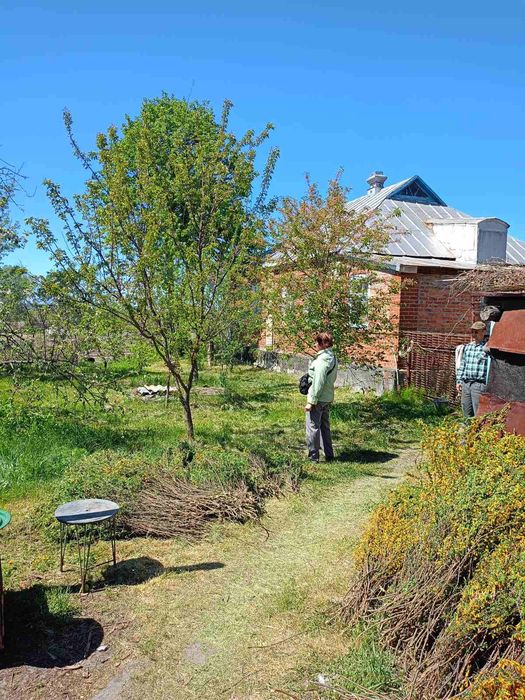 Продам будинок з дворовими постройками  в с. Черкаський Бишкін