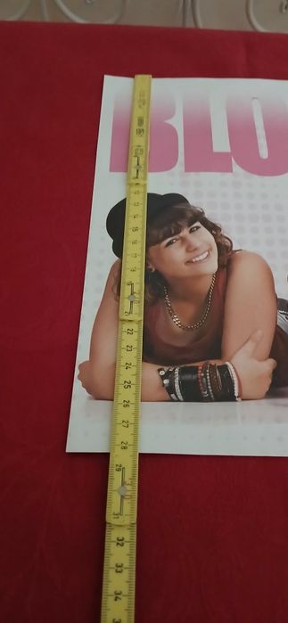 Poster Bloom Bell