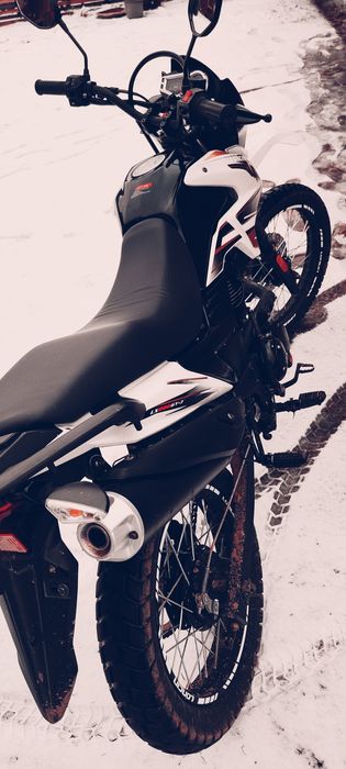 Продам Лонкін прус