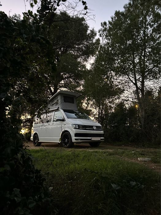 Volkswagen California T6