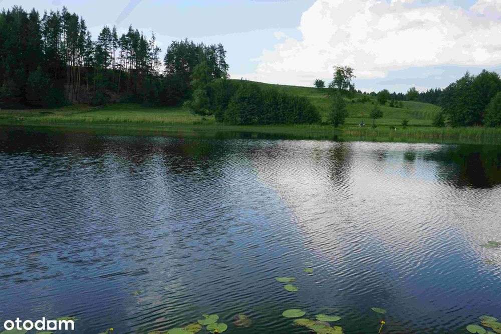 Siedlisko 7561 m², własny brzeg jeziora i las