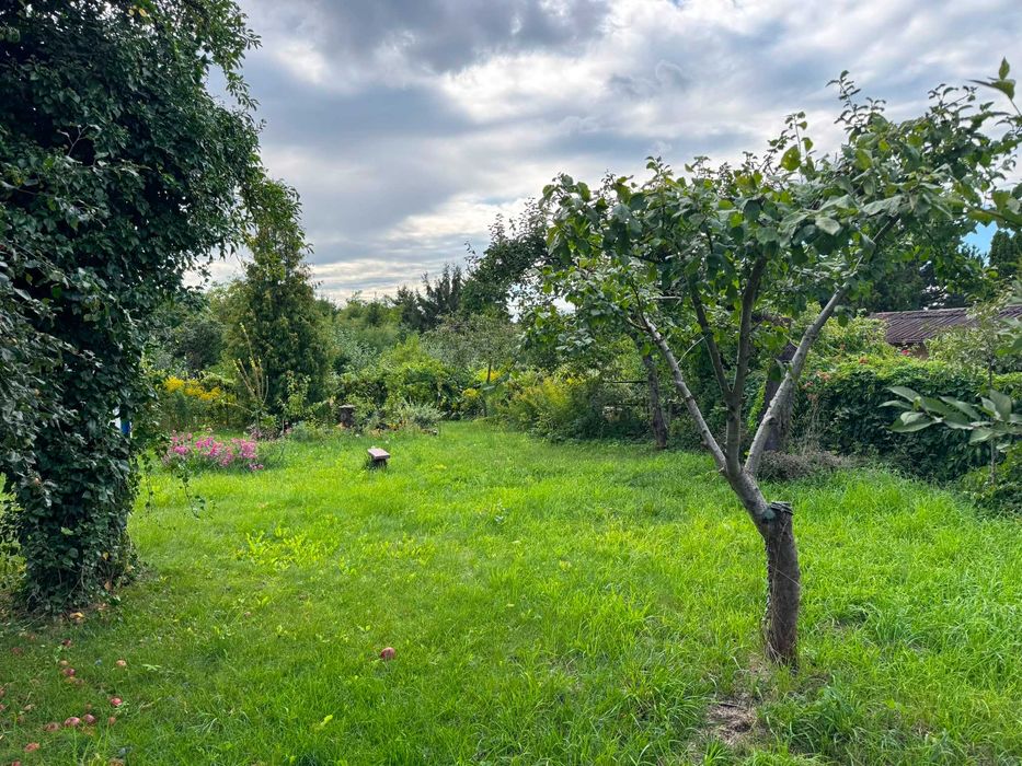 Wyjątkowa działka ROD Park Dolny – zielona oaza w sercu Warszawy (Żoliborz) - Widok 3