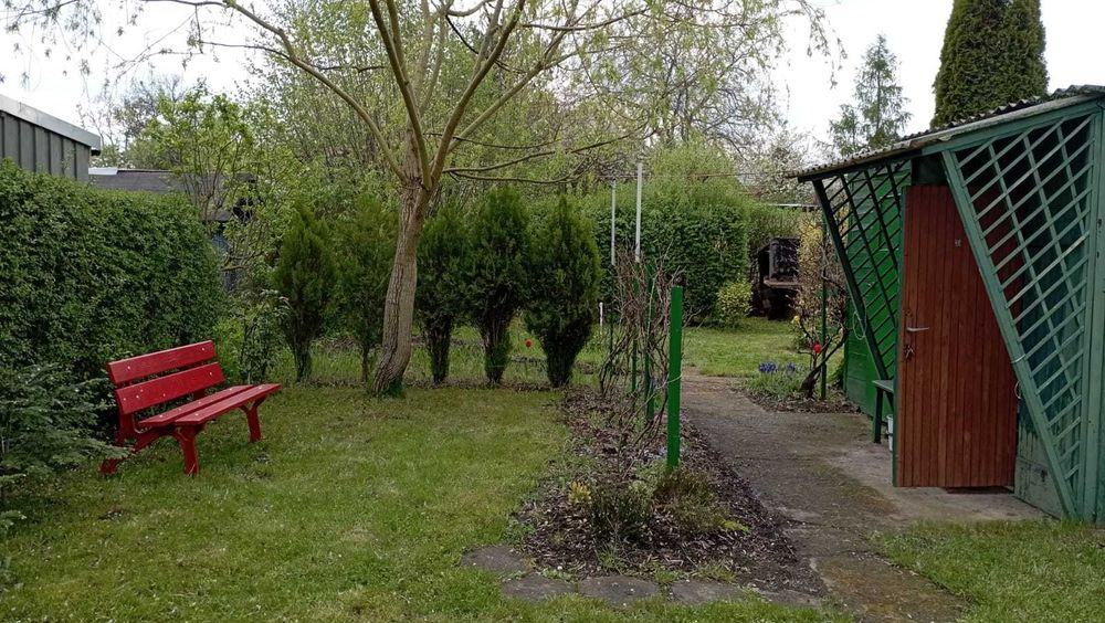 Duża działka 589 m² | ROD | łatwy dojazd + parking | idealna dla rodziny | Paprotka, Wrocław