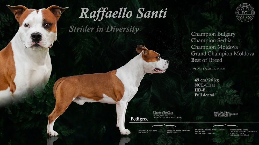 Стафф парування вязка