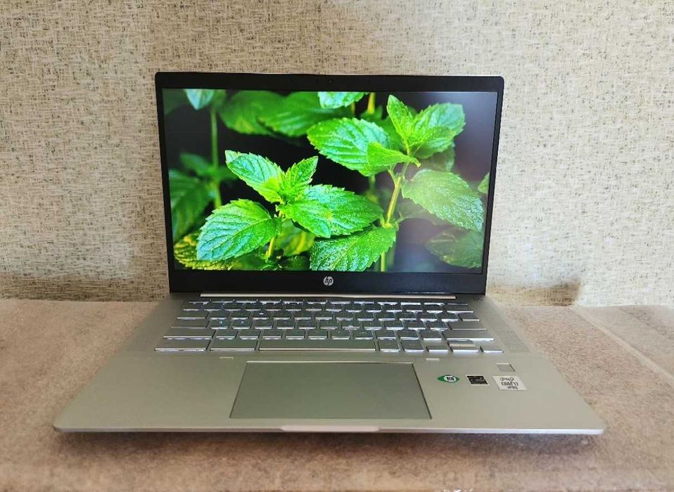 МАКСИМАЛЬНА КОМПЛЕКТАЦІЯ Хромбук HP PRO C640》14 IPS FULL HD》i7-10610》16GB RAM》 128GB》Метал  Ігровий ноутбук для навчання роботи додатків з Плеймаркет