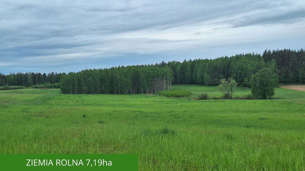 Działki budowlane | Ziemia Rolna | Grom