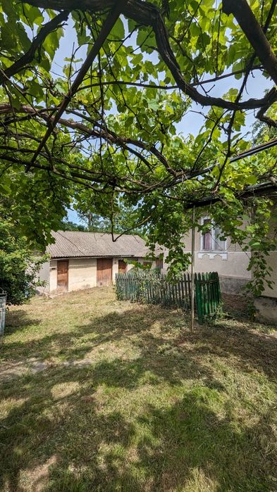 Будиночок біля р. Дністер