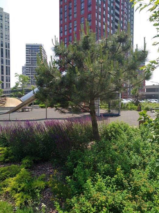 Варшавський Плюс Подільський 1к з ремонтом на Виговського 40/12