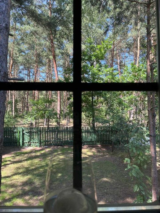 ***REZERWACJA*** Urokliwy domek w lesie/ przy jeziorze