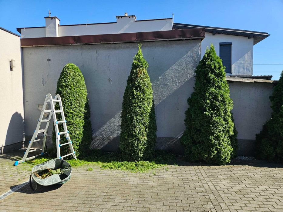 Profesjonalne Usługi Ogrodnicze, Wynajem narzędzi