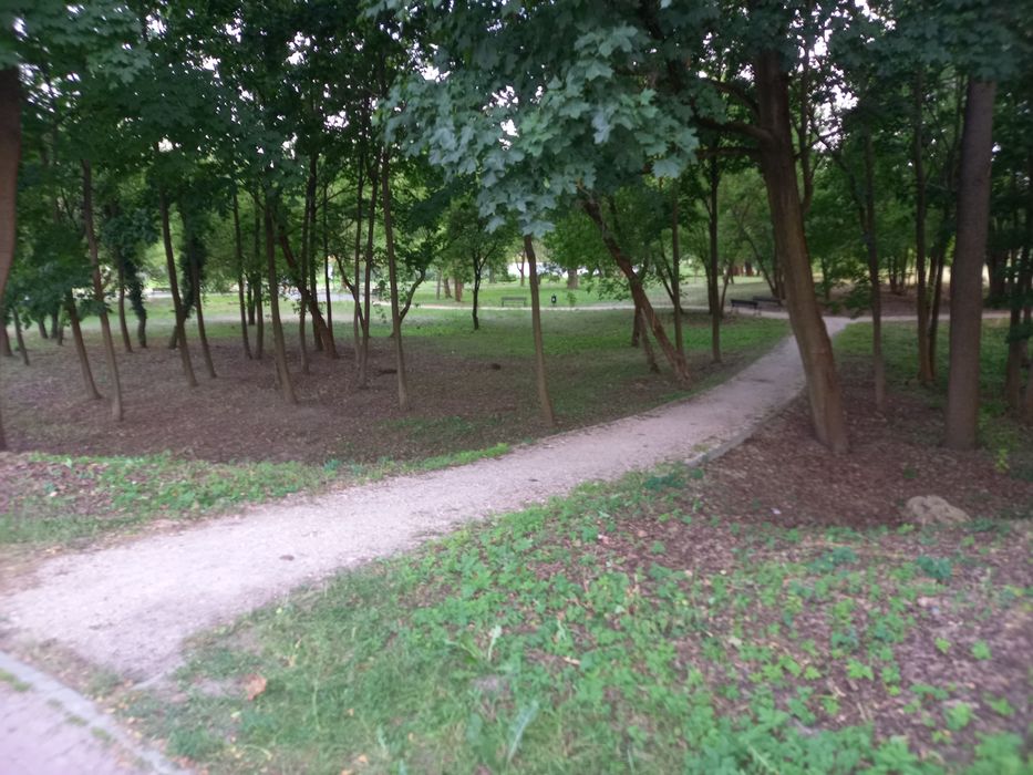 Domek wolnostojący.